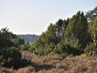 Holiday house Schoonoord Environment 16
