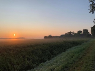 Ferienhaus Schoonoord Umgebung 16