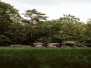 Ferienhaus Schoonoord Umgebung 30