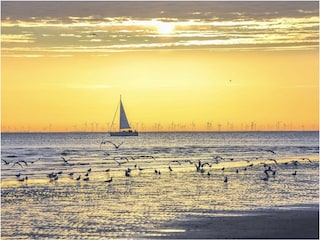 Meer