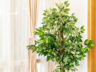 Ferienhaus Dubrovnik  55