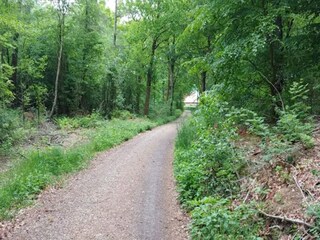 Vakantiehuis Jegum  13