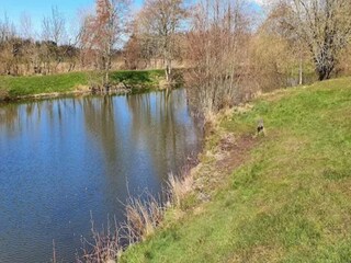 Vakantiehuis Jegum  20