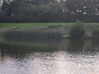 Casa per le vacanze Jegum  32