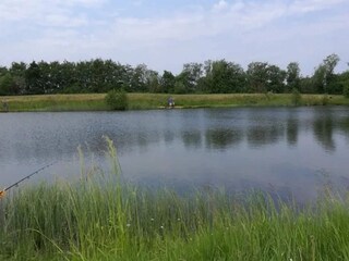 Holiday house Jegum  20