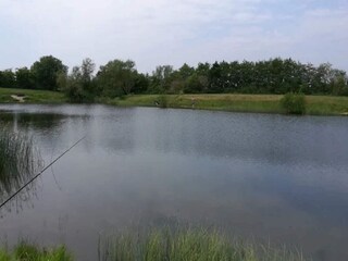 Ferienhaus Jegum  17