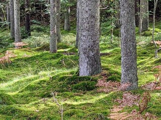 Vakantiehuis Ellös  25