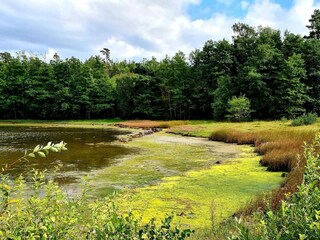 Vakantiehuis Ellös  12