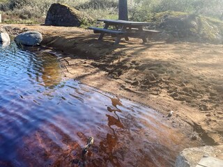 Ferienhaus Holmsjö Außenaufnahme 8