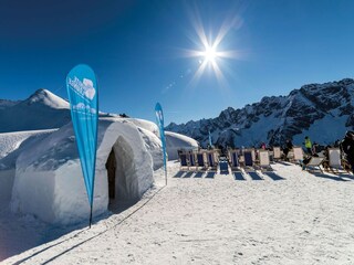 Chalet Hippach Environnement 38