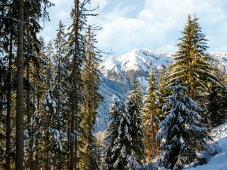 Chalet Hippach Außenaufnahme 9
