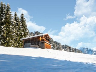 Chalet Hippach Außenaufnahme 35