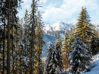 Chalet Hippach Buitenaudio-opname 26