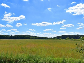 Apartment Luhme Environment 23