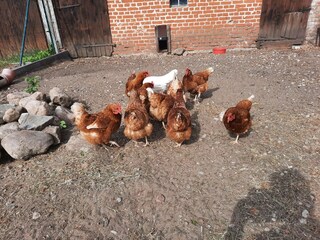 Appartamento Luhme Registrazione all'aperto 3