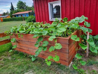 Apartamento Luhme Grabación al aire libre 7
