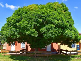 Apartamento Luhme Grabación al aire libre 2