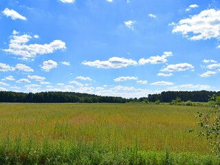 Appartamento Luhme Ambiente 21