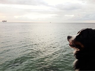 Holiday apartment Marienleuchte Environment 33