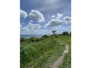 Holiday apartment Marienleuchte Environment 30