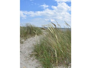 Holiday apartment Marienleuchte Environment 31