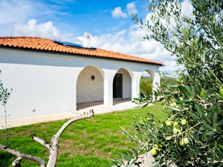 Vakantiehuis Stankovci Omgeving 59