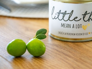 Casa de vacaciones Stankovci Características 56