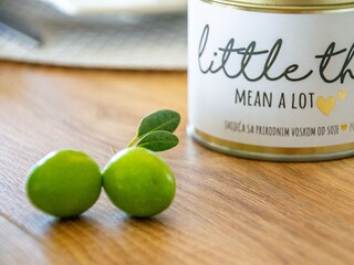 Casa per le vacanze Stankovci Caratteristiche 56