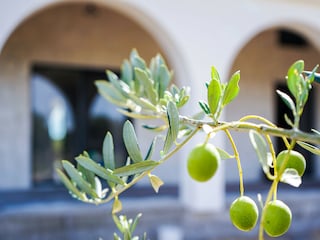 Casa de vacaciones Stankovci Grabación al aire libre 10