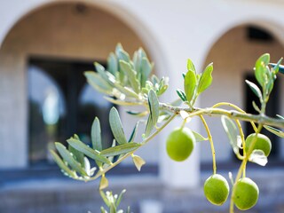 Holiday house Stankovci Outdoor Recording 10