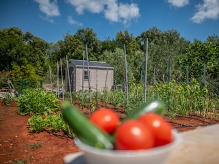 Apartment Ugljan (Ort) Ausstattung 33