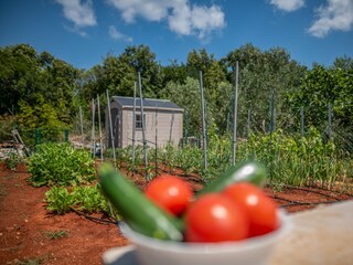 Appartamento Ugljan (Ort) Caratteristiche 33