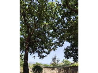Villa Posedarje Grabación al aire libre 7