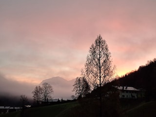Fantastic sunrise from the garden