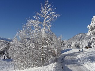 Holiday apartment Wildermieming Outdoor Recording 17