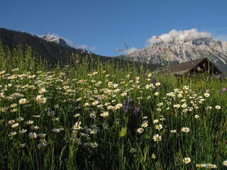 Holiday apartment Wildermieming Outdoor Recording 13
