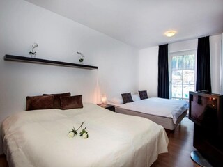 Appartamento Bad Gastein Caratteristiche 9