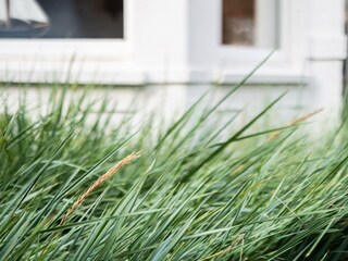 Casa per le vacanze Koksijde  35