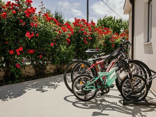 Villa Glavina Gornja  40