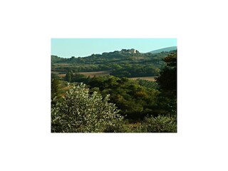 Fattoria Castel Ritaldi Ambiente 28