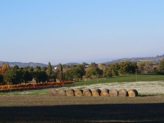 Type de propriété : Ferme Castel Ritaldi Environnement 36