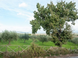 Bauernhof Castel Ritaldi Außenaufnahme 5