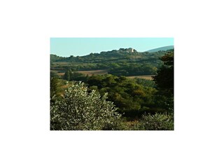 Fattoria Castel Ritaldi Ambiente 31