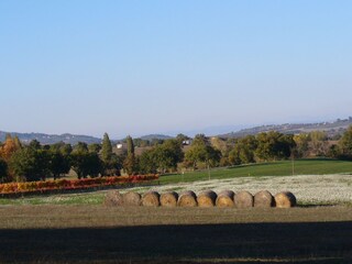 Casa de campo Castel Ritaldi Entorno 33