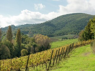 Bauernhof Castel Ritaldi Umgebung 28