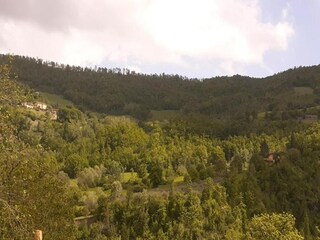 Fattoria Castel Ritaldi Ambiente 19