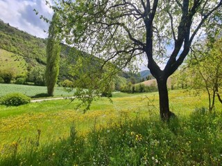 Fattoria Castel Ritaldi Ambiente 30