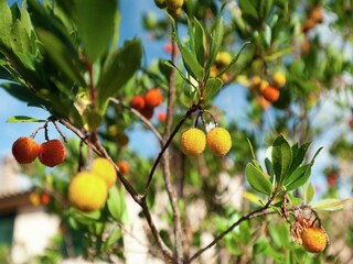 Maison de vacances Castel Ritaldi Enregistrement extérieur 10