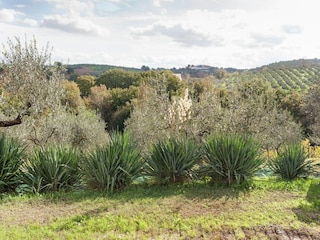 Ferienhaus Castel Ritaldi Außenaufnahme 7
