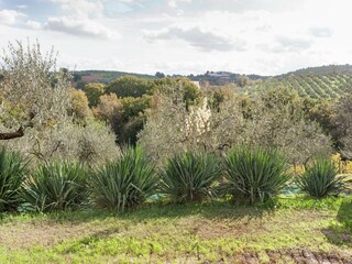 Ferienhaus Castel Ritaldi Außenaufnahme 5